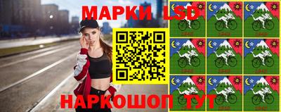 дмт Ставрополь