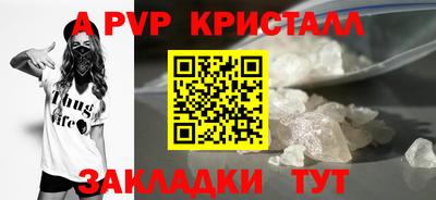 дмт Ставрополь