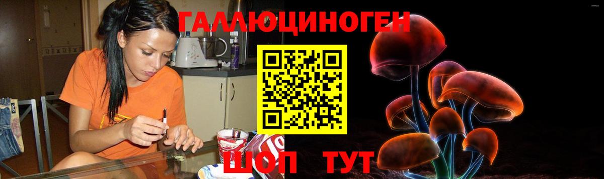 Псилоцибиновые грибы GOLDEN TEACHER  Вход с VPN  Новосибирск  Галлюциногенные грибы Psilocybine cubensis 